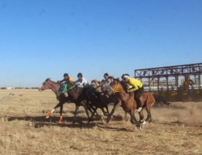 سباق للخيول الأصيلة في تل حميس