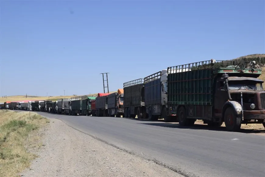 بدء استلام القمح في مدينة ديرك
