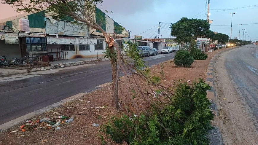أضرار في خيم المهجّرين وسقوط أشجار جراء العاصفة في الحسكة وقامشلو