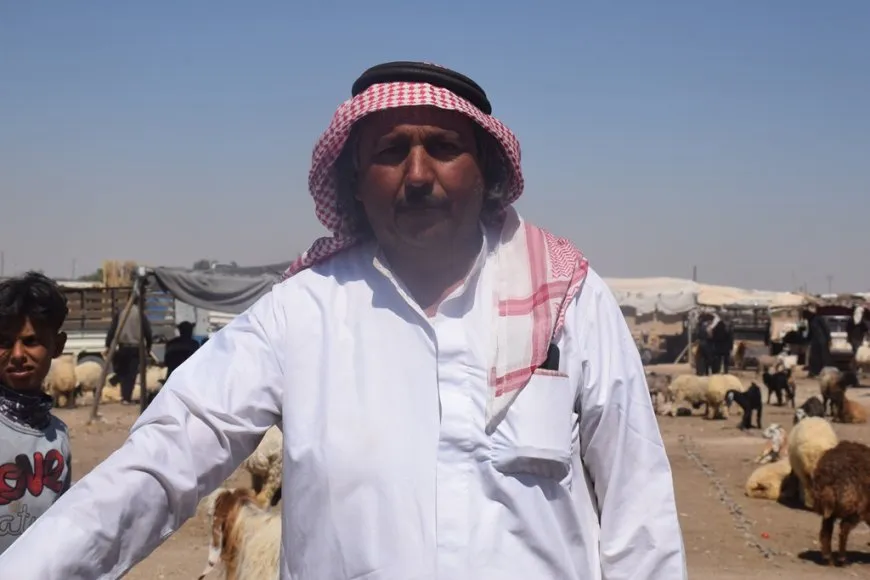 أسواق الماشية تشهد إقبالاً مع اقتراب عيد الأضحى