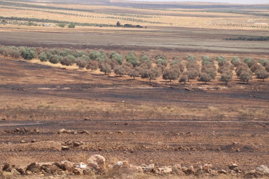 بالأرقام.. خسائر مزارعي إقليم شمال وشرق سوريا جرّاء القصف التركي ومرتزقته