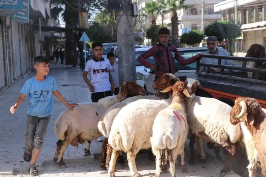بهجة العيد تعكس حالة الأمن والاستقرار والتآلف الاجتماعي