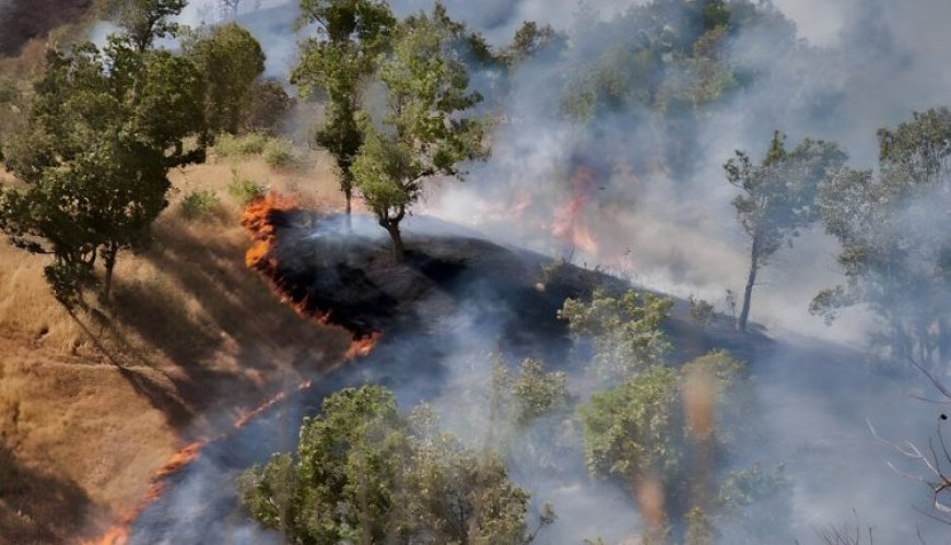 حرائق غابات يُشتبه أن تكون مفتعلة في مناطق شرق كردستان