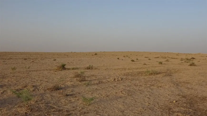 إحصائيات صادمة عن مستوى الجفاف والتصحر في شمال وشرق سوريا وأسبابها