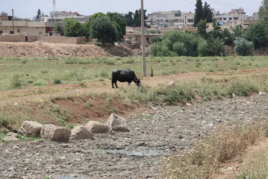 إحصائيات صادمة عن مستوى الجفاف والتصحر في شمال وشرق سوريا وأسبابها