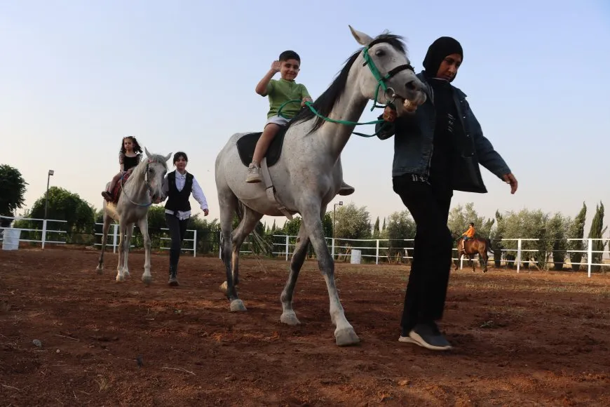 مريم وشغف الخيول العربية.. رحلة نحو عالم التدريب الفروسي