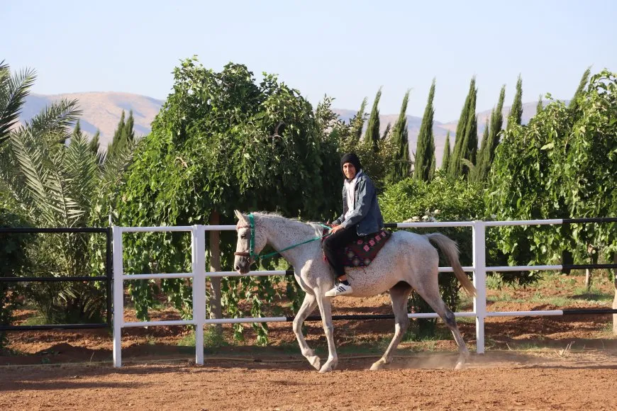 مريم وشغف الخيول العربية.. رحلة نحو عالم التدريب الفروسي