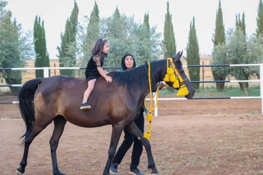مريم وشغف الخيول العربية.. رحلة نحو عالم التدريب الفروسي