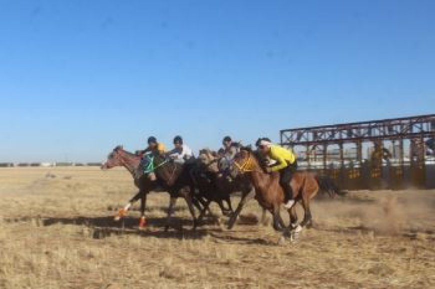 سباق للخيول الأصيلة في تل حميس