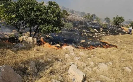 تقاعس سلطات جنوب كردستان يتسبب بحريق هائل في منطقة أغجلر