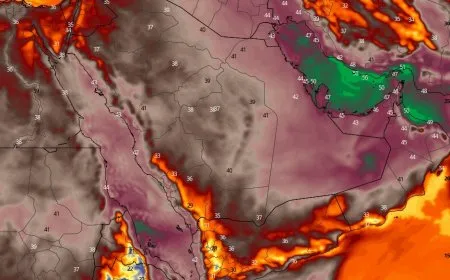 تحليل: درجات حرارة في الخليج باتت تشكل خطرا على الحياة