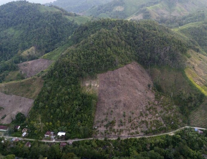 إزالة أكثر من 700 ألف هكتار من الغابات في إندونيسيا بسبب التعدين منذ 2001