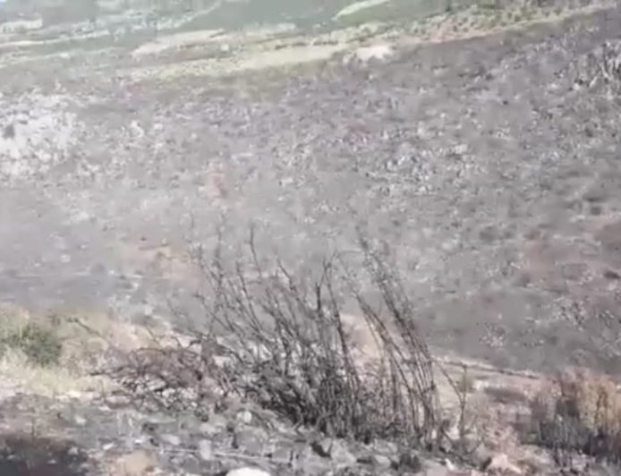 مرتزقة الاحتلال التركي يضرمون النار في غابة بعفرين المحتلة