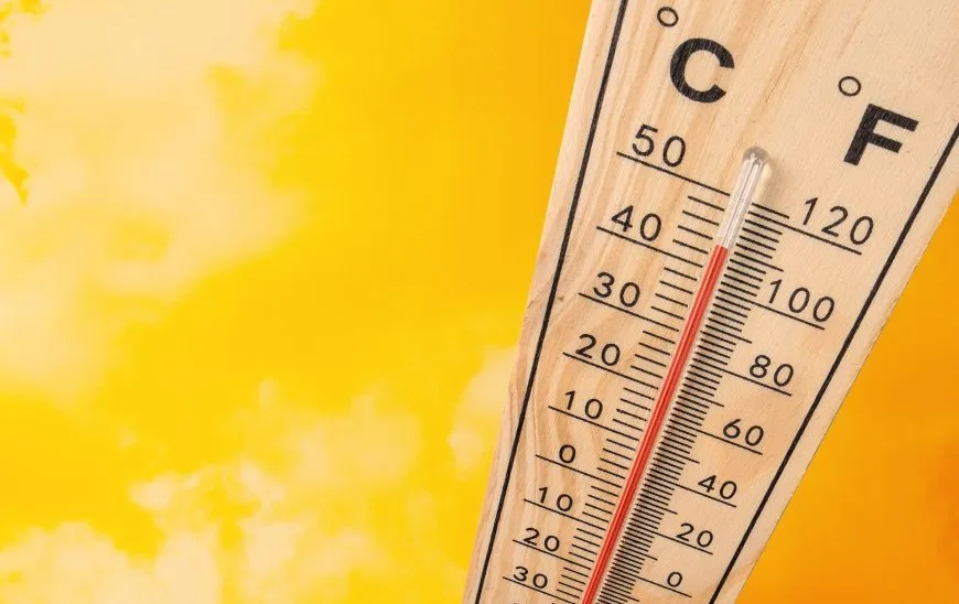 الحرارة إلى انخفاض والجو بين الصحو والغائم جزئياً 