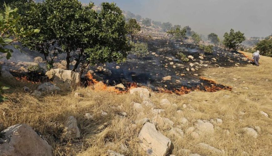 تقاعس سلطات جنوب كردستان يتسبب بحريق هائل في منطقة أغجلر