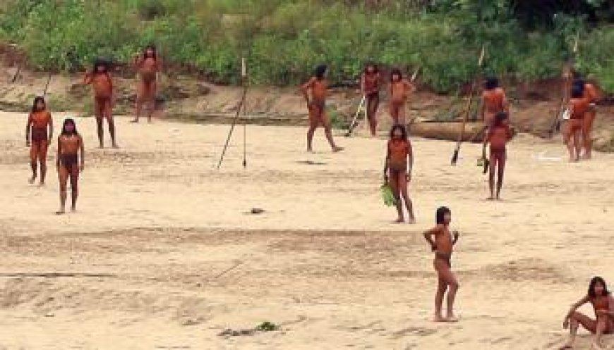 تحذير من كارثة إنسانية تعترض حياة أفراد قبيلة ماشكو بيرو
