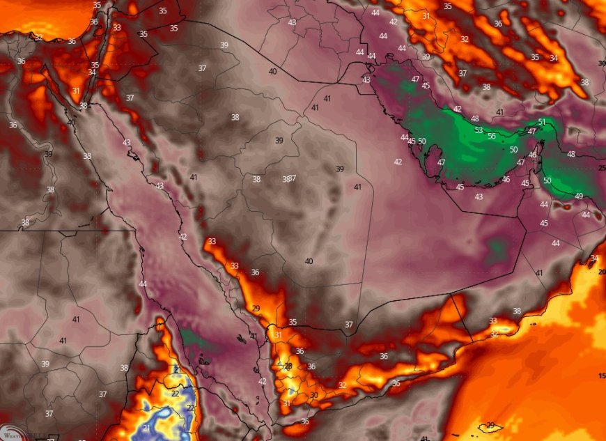 تحليل: درجات حرارة في الخليج باتت تشكل خطرا على الحياة