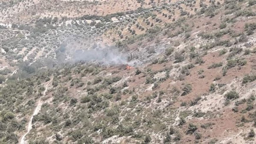 الاحتلال التركي يفتعل الحرائق في جبال عفرين المحتلة