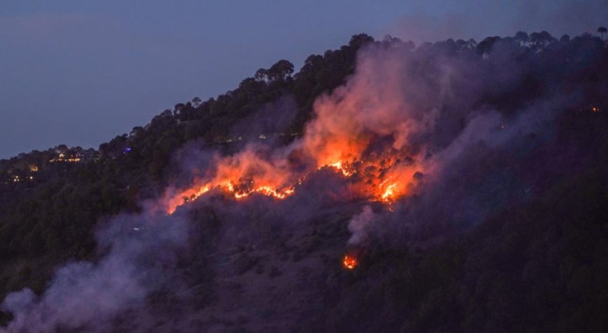 حريق ضخم في كاليفورنيا الأميركية يجبر 4 آلاف شخص على إخلاء منازلهم