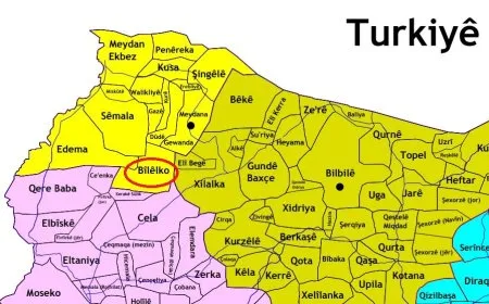 أسماء المتضررين من الحرائق المفتعلة في إحدى قرى عفرين المحتلة