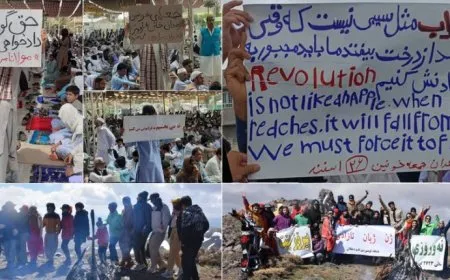 "التحالف وزيادة التشبيك بين النساء عاملان قويان للضغط على الدولة الإيرانية"