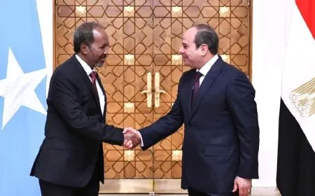 في ظل تصاعد الخلاف بين مصر وإثيوبيا... الأولى ترسل أسلحة إلى الصومال