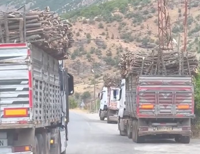 بالفيديو الاحتلال التركي يسرق الأشجار من جنوب كردستان
