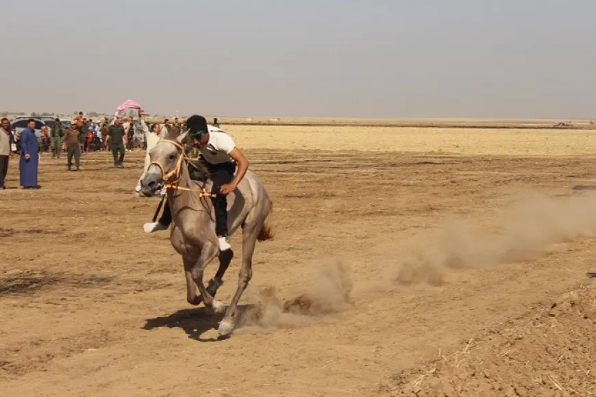 مهرجان الشهداء الأول لسباق الخيول الأصيلة في كركي لكي