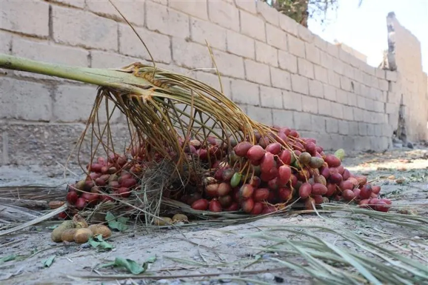 ناجون من هجوم قوات حكومة دمشق على دير الزور يروون لحظات الدم والدمار