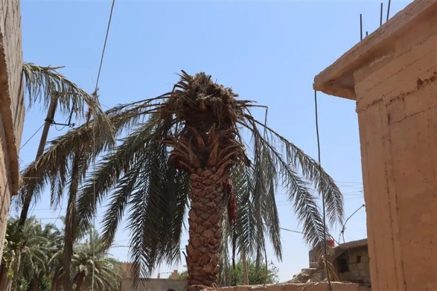 ناجون من هجوم قوات حكومة دمشق على دير الزور يروون لحظات الدم والدمار
