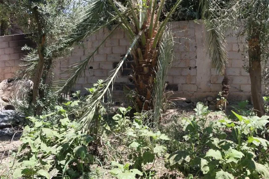 ناجون من هجوم قوات حكومة دمشق على دير الزور يروون لحظات الدم والدمار