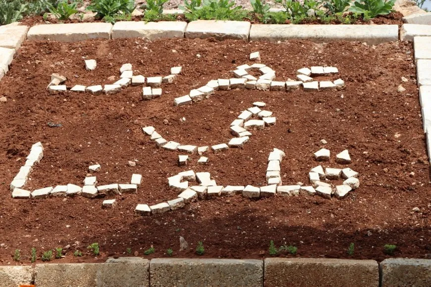 نساء من عفرين: لا نستطيع العيش بعيداً عن أرضنا