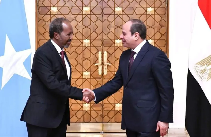 في ظل تصاعد الخلاف بين مصر وإثيوبيا... الأولى ترسل أسلحة إلى الصومال