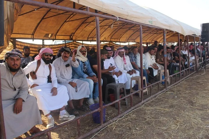 سباق للخيول الأصيلة في مقاطعة الجزيرة بمشاركة 88 فارساً