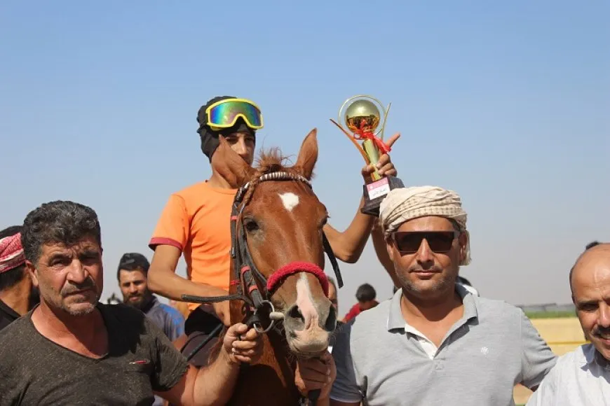 سباق للخيول الأصيلة في مقاطعة الجزيرة بمشاركة 88 فارساً
