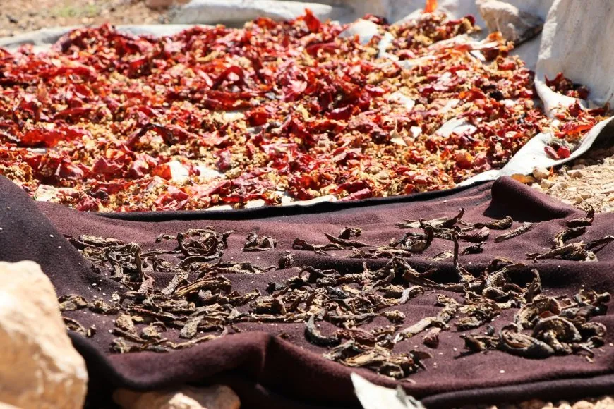استعداد النساء في عفرين لقدوم الشتاء