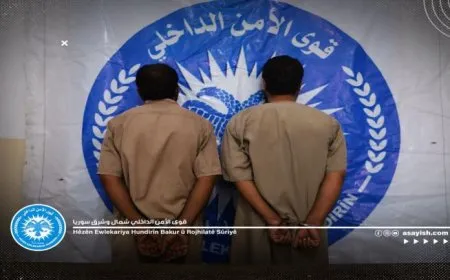 القبض على متورطين في سرقة المواشي بمقاطعة الطبقة