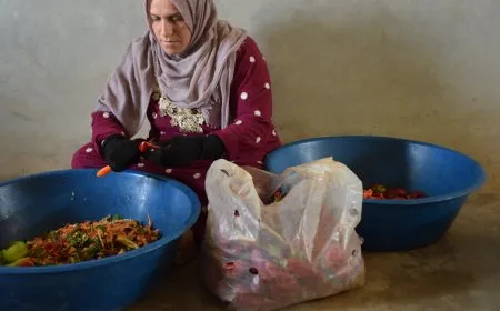 من إنتاج يدها تؤمّن احتياجات منزلها