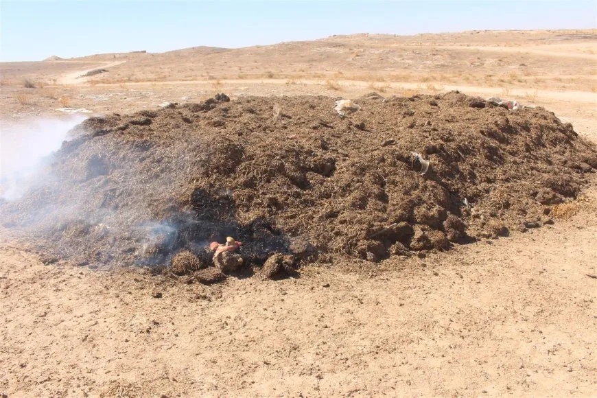 العودة إلى الطبيعة.. الجص الأسود بديلاً عن الإسمنت في الهول