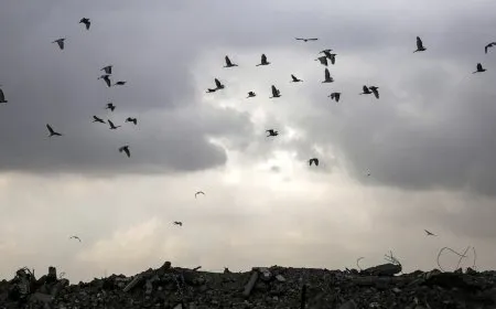 عام على اندلاع حرب غزة.. خسائر كبيرة واشتباك إقليمي معقد وحلول غير مناسبة
