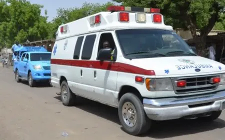 فقدان نحو 100 شخص لحياتهم وإصابة 50 آخرين إثر حادث في نيجيريا