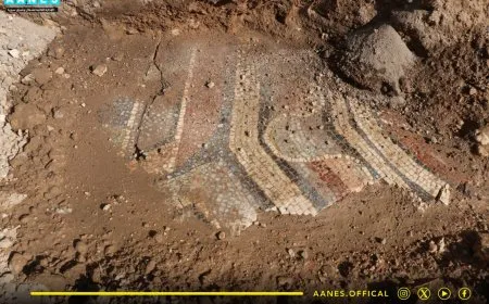 العثور على أجزاء من لوحة فسيفسائية في منبج