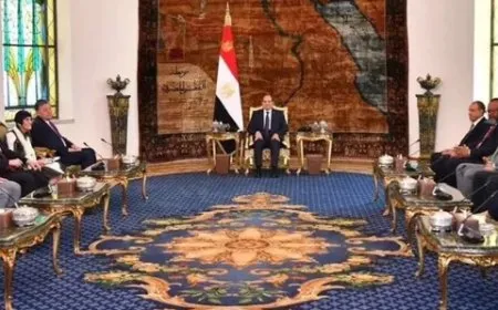السيسي يبحث مع مجلس النواب الأمريكي الحرب الدائرة في غزة ولبنان