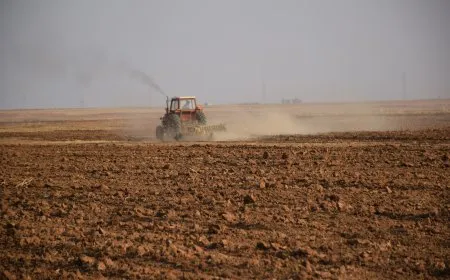 نصائح للمزارعين لاتباع الدورة الزراعية لما لها من آثار إيجابية