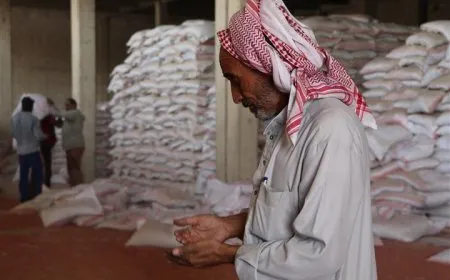توزيع بذار القمح.. الإدارة الذاتية تخسر 195 دولاراً في الطن الواحد
