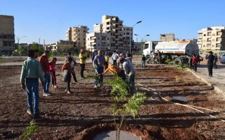 "يلا نشجرها" مبادرة شعبية في الرقة لتعزيز الغطاء النباتي للمدينة