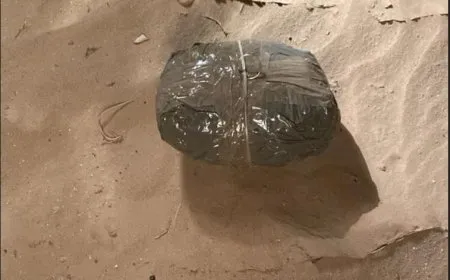 الجيش الأردني يعلن إحباط محاولة تهريب مخدرات من سوريا
