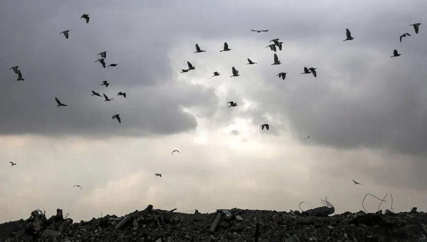 عام على اندلاع حرب غزة.. خسائر كبيرة واشتباك إقليمي معقد وحلول غير مناسبة