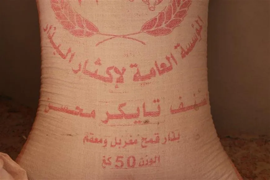توزيع بذار القمح.. الإدارة الذاتية تخسر 195 دولاراً في الطن الواحد