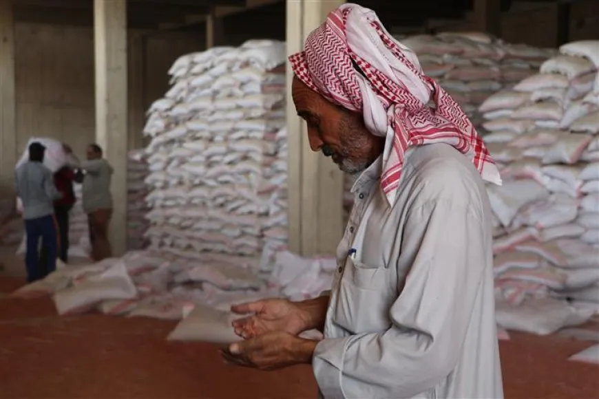 توزيع بذار القمح.. الإدارة الذاتية تخسر 195 دولاراً في الطن الواحد